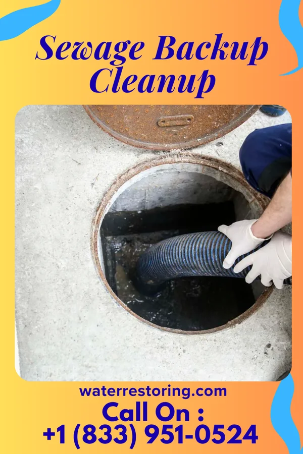 Sewage Backup Cleanup in Runaway Bay, TX
